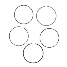 Segments Eppella Tbm Tongjian