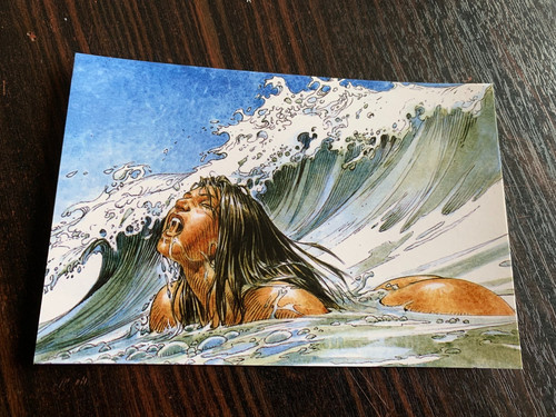 Carte postale 15x10 - postale,
