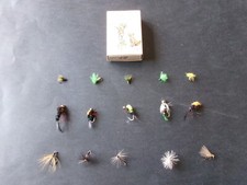 15 véritables mouches de