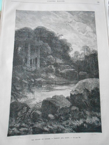Gravure 1878 chasse en - gravure,