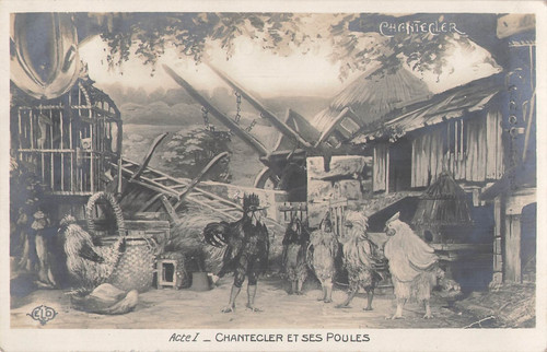 Chantecler acte coq - coq,
