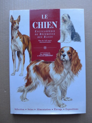 Phil maggitti le - le, chien