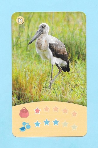 Carte jabiru - -,