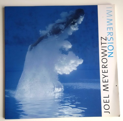 Joël meyerowitz immersions - -,