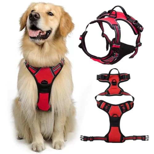 Harnais pour chien grande - pour,