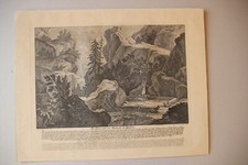 Retirage XIXe d'une gravure de RIDINGER (XVIIIe). La chasse au daim.