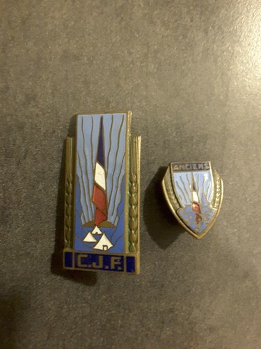 Insigne chantier jeunesse - insigne,