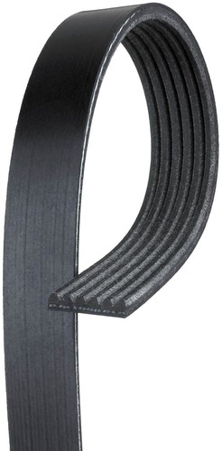 Courroie trapézoïdale 6pk - trapézoïdale,