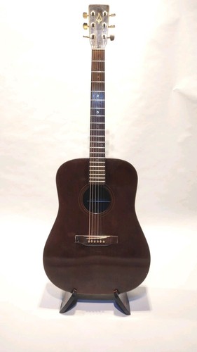 Daion the acoustic guitar - daion,