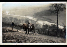 AGRICULTURE / AGRICULTEUR avec ATTELAGE agricole au LABOUR début 1900