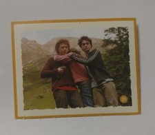 Image/autocollant  " HARRY POTTER " Super U 2022 La Magie de l'Amitié numéro 25