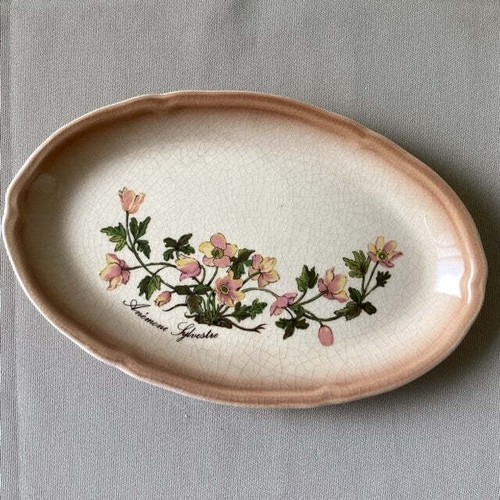 Plat ovale anémone sylvestre - anémone,