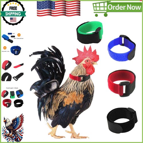 Adjustable crow chicken - adjustable,