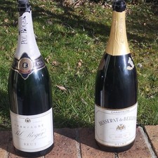 Bouteilles vides de Champagne
