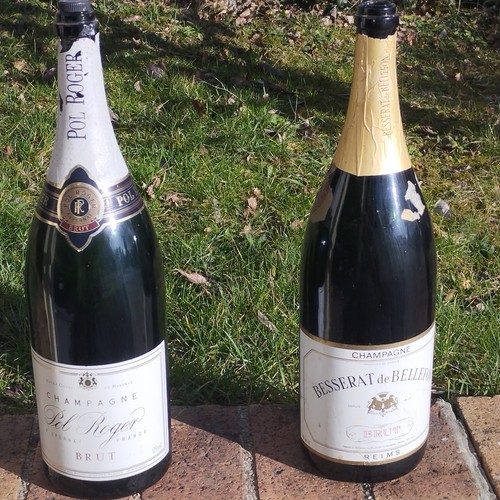Bouteilles vides champagne - bouteilles,