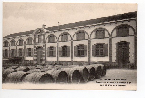 Champagne cpa vins vignes - cpa, 51