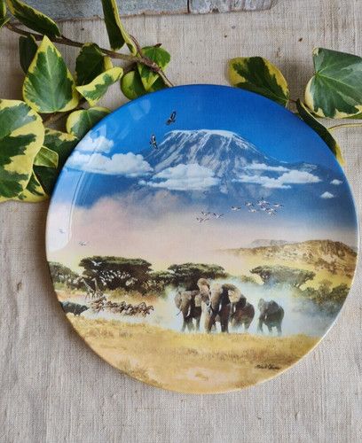 Assiette porcelaine wedgwood - assiette,