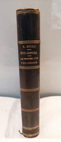 Victor hugo bug - victor,