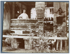 France, Ancienne cuve à cercles de bois, Basse Bourgogne  vintage citrate print.