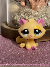 🌸Petshop Chat Gouttière