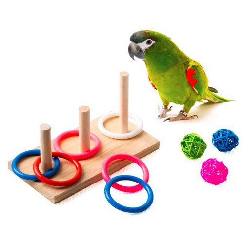 Oiseau table jouet - oiseau,