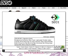 DVS shoe Taylor SECT by Mikey