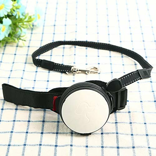 Mrk group hands free dog - mrk, leash