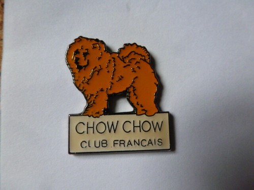 Pin badge dog french - french, chow