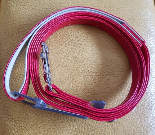 Laisse chien wouapy 13mm 1m - laisse,
