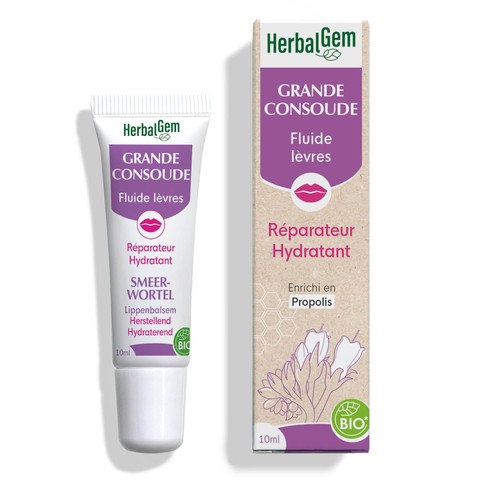 Grande consoude fluide - consoude,