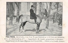 CPA 29 BRETAGNE HIPPIQUE