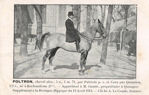 Cpa bretagne hippique - cpa, 29