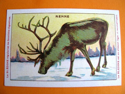 Chromo 1920 1930 - chromo, blédine