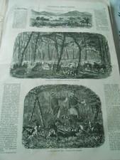 Gravure 1856 - Une chasse à
