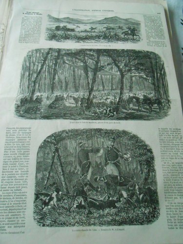 Gravure 1856 une chasse à - -,