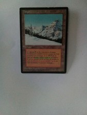 Cartes Magic The Gathering - Taïga double terrain 