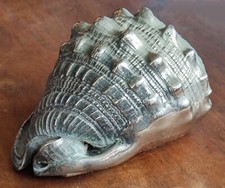 Ancien Coquillage Décor Table