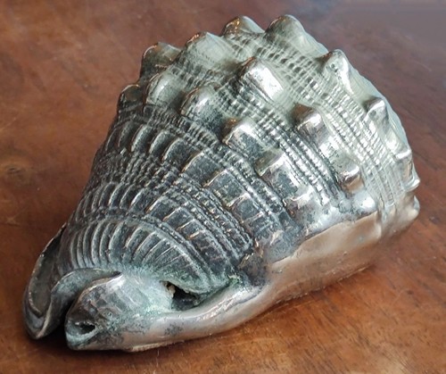 Ancien coquillage décor - ancien,