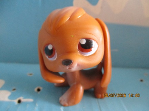 Petshop chien beagle - petshop,