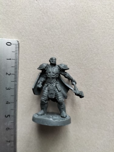 Cleric paladin miniature - paladin,