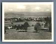 Suisse, Morat (Murten), Vue générale et Vully Vintage silver print. Switzerland.