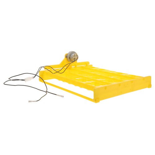 Couveuse poule incubateurs - poule,
