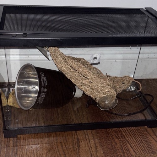 Glass reptile terrarium with - terrarium,