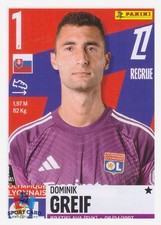 Panini Foot 2026 - Dominik