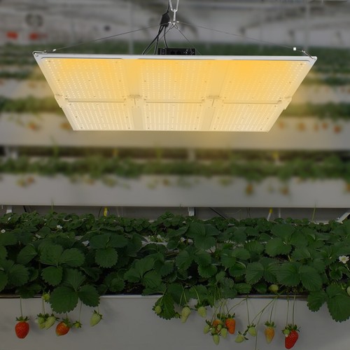 600w led grow lights panel - led,