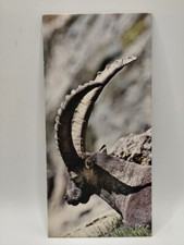 Nestlé MERVEILLES DU MONDE Carte N°56 "Le bouquetin"