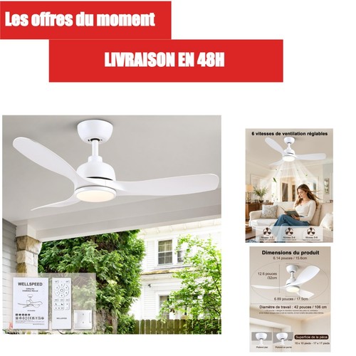 Ventilateur plafond - ventilateur,