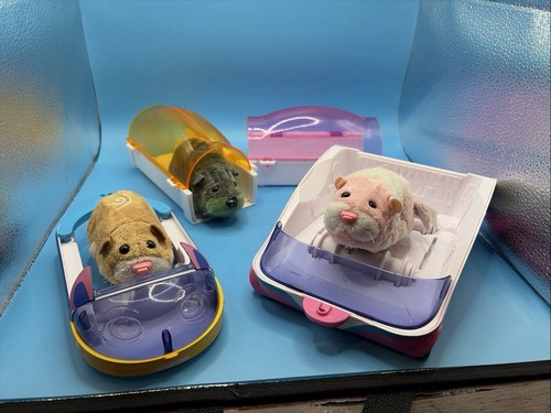 Zhu pets - zhu, w/