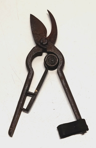 Outils sécateur ancien - , gravé