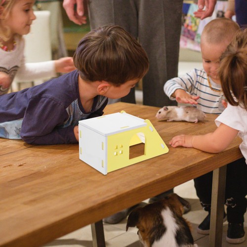 Cabane hamster maison - ,